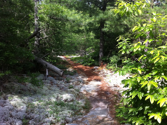 Soft trail on the JMT, Big South Fork - 27